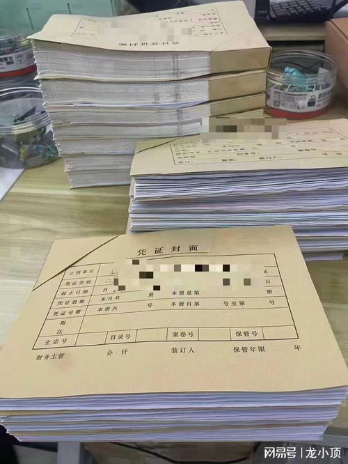 濰坊企業(yè)財務首選 龍頂會計服務，專業(yè)代理記賬與出口退稅專家